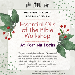 Oils Workshop